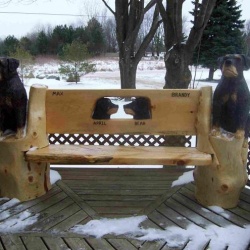 Dogs and Wolves